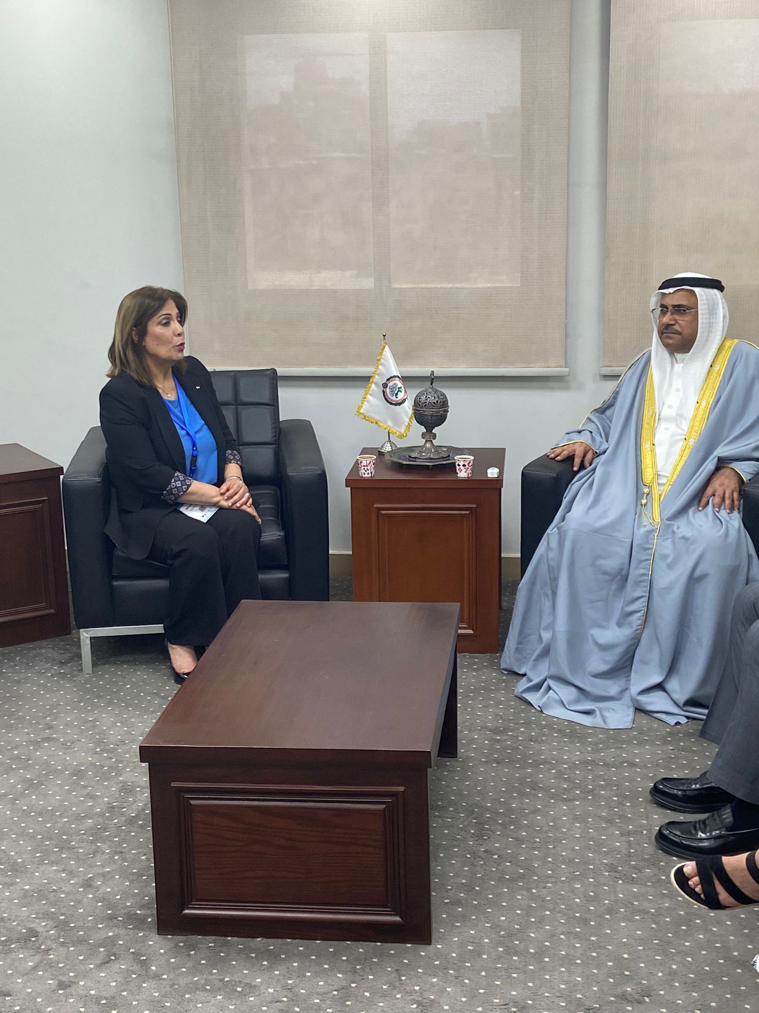  على هامش مشاركة معالي وزيرة شؤون المرأة في منتدى أسوان للسلام والتنمية المستدامين في القاهرة